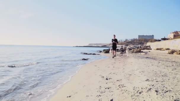 Corredor masculino y dos perros husky trotando en la playa en cámara lenta — Vídeo de stock