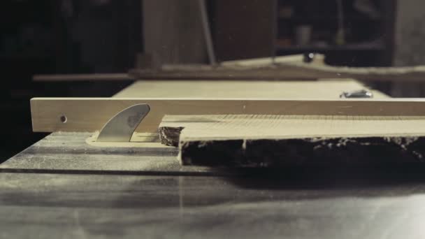 Carpintero cortar una tabla de madera con circular Sierra de cámara lenta — Vídeos de Stock
