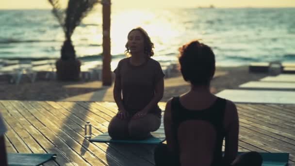 Skupina žen cvičí jógu na pláži Zpomalený pohyb — Stock video