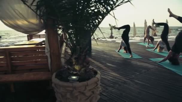 Groep vrouwen beoefenen van yoga op het strand slow motion — Stockvideo