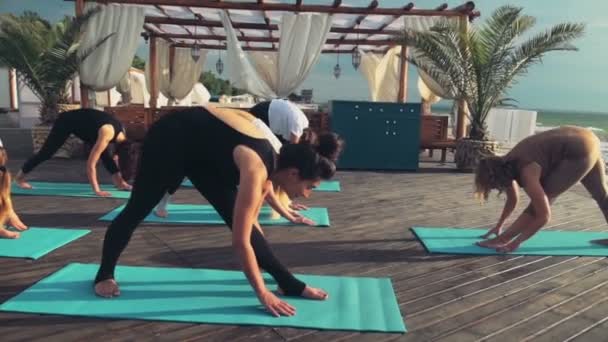 Grupp kvinnor som utövar yoga på stranden slow motion — Stockvideo