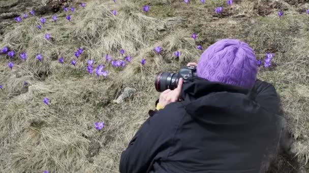 Женщина-фотограф фотографирует весенние цветы — стоковое видео