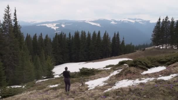 Escursionista femminile scattare foto di paesaggio in montagna — Video Stock