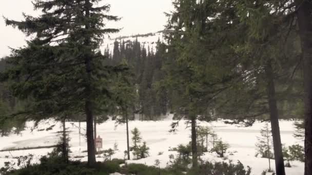 Ляльковий знімок сніжного лісу — стокове відео