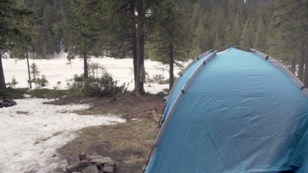 Tält i snöiga våren skog — Stockvideo