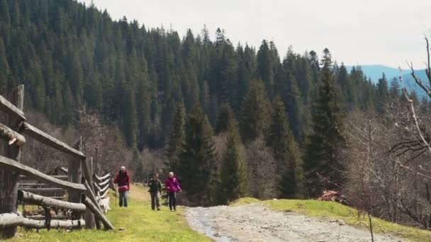 Grupo de excursionistas caminando con un husky en el bosque cámara lenta — Vídeos de Stock