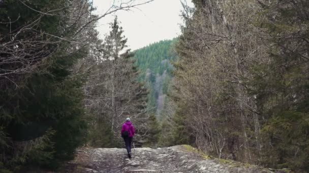 Randonneur marchant dans la forêt au ralenti — Video