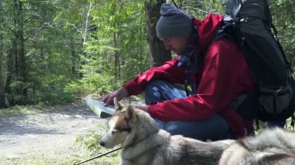 Турист с собакой и карта в лесу — стоковое видео