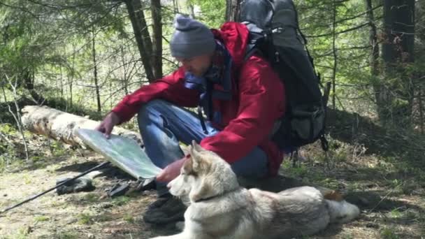 Hiker with dog and map in forest — Stock Video