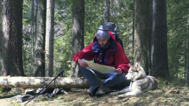 Excursionista con perro y mapa en bosque — Vídeo de stock
