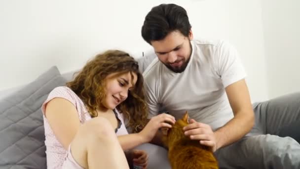 Couple in bed caressing a ginger cat slow motion — Stock Video