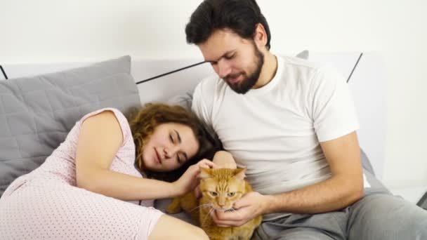 Casal na cama acariciando um gato de gengibre câmera lenta — Vídeo de Stock