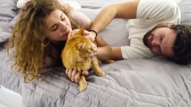 Pareja en cama acariciando un jengibre gato cámara lenta — Vídeo de stock