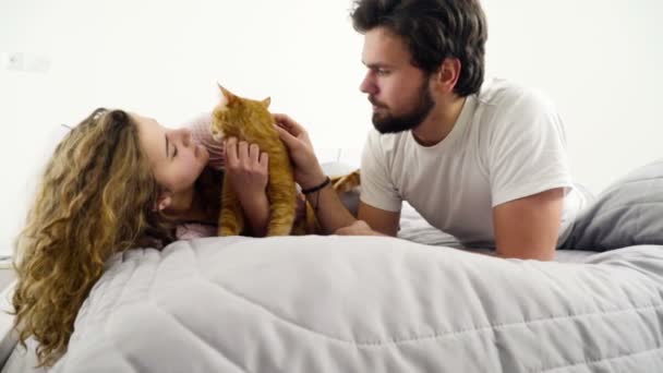 Coppia a letto accarezzando un gatto rossiccio al rallentatore — Video Stock