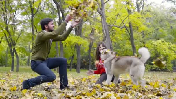 Pareja joven jugando con un perro husky en el parque de otoño cámara lenta — Vídeos de Stock