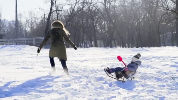 母亲和女儿在一个寒冷的冬天走慢动作 — 图库视频影像