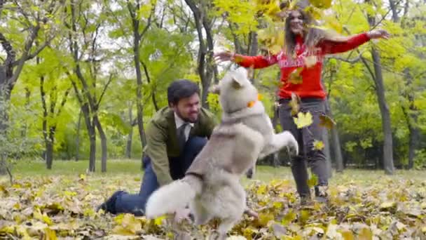 Pareja joven jugando con un perro husky en el parque de otoño cámara lenta — Vídeos de Stock