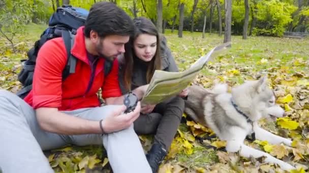 Pareja de excursionistas y un perro husky en el bosque de otoño utilizando un mapa de papel — Vídeos de Stock