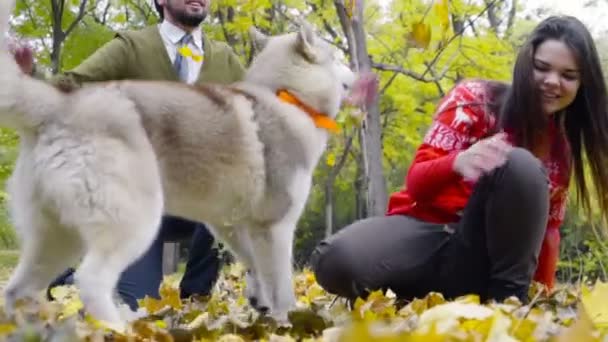 Pareja joven jugando con un perro husky en el parque de otoño cámara lenta — Vídeo de stock