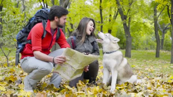 Pareja de excursionistas y un perro husky en el bosque de otoño utilizando un mapa de papel — Vídeo de stock