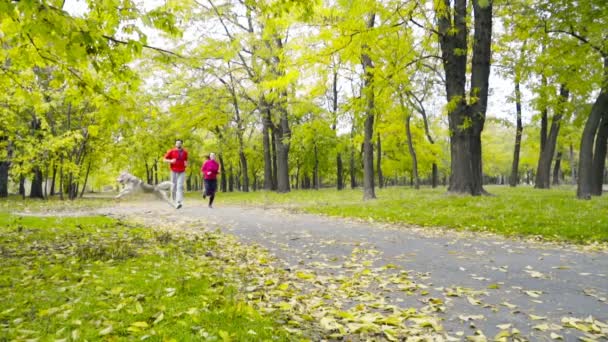 Улыбающаяся пара и хаски-собака бегают в осеннем парке замедленным движением — стоковое видео