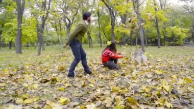 adam kadın ve düşen yapraklar parkta oynayan bir husky köpek