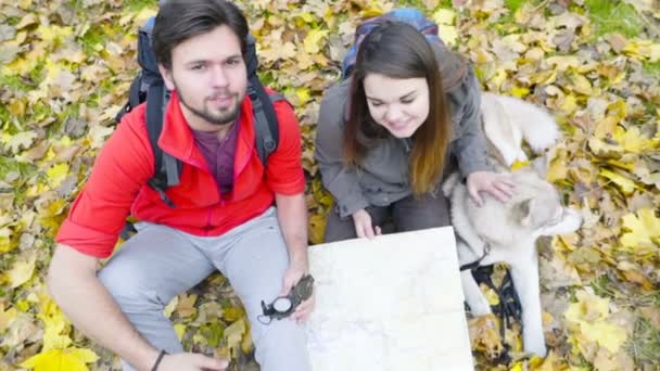 Vue de dessus des randonneurs heureux regardant la caméra et un chien dans la forêt d'automne — Video