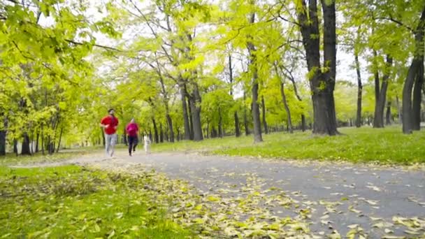 Sonriente pareja y un husky perro corriendo en el otoño parque cámara lenta — Vídeo de stock