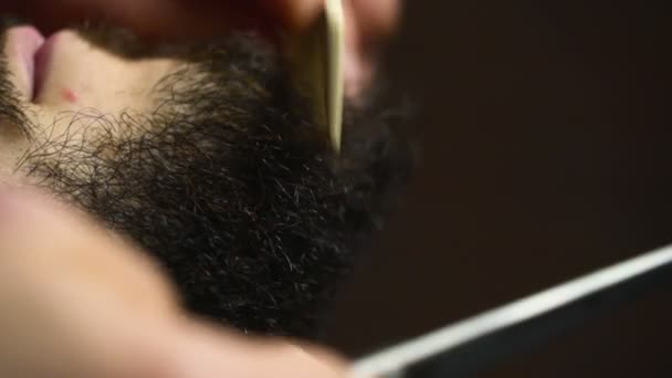 Barber zastřihne vlasy plnovous klienta s nůžkami, zpomalené zblízka — Stock video