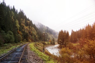 Demiryolu izlemek bir orman yoluyla erken sonbahar
