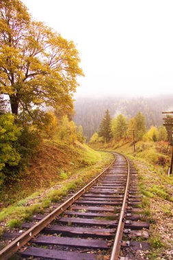 Demiryolu izlemek bir orman yoluyla erken sonbahar