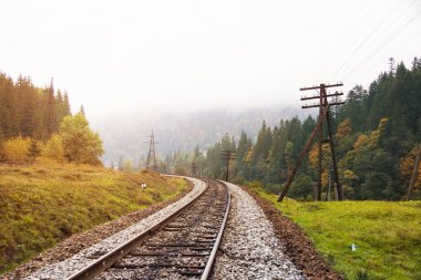 Demiryolu izlemek bir orman yoluyla erken sonbahar