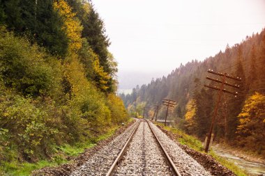 Demiryolu izlemek bir orman yoluyla erken sonbahar