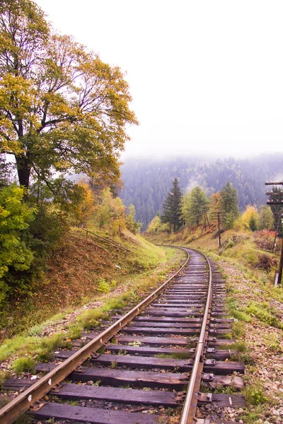 Voie ferrée à travers une forêt au début de l'automne — Photo
