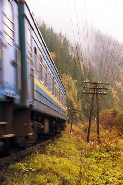 철도 트랙에 숲을 통해 이른가 — 스톡 사진