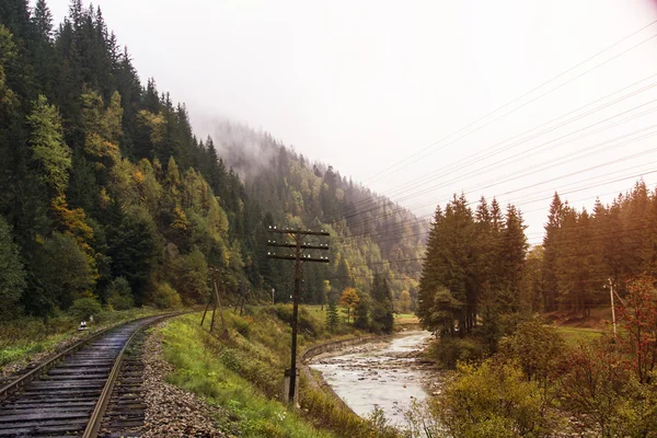 Trilha ferroviária através de uma floresta no início da queda — Fotografia de Stock