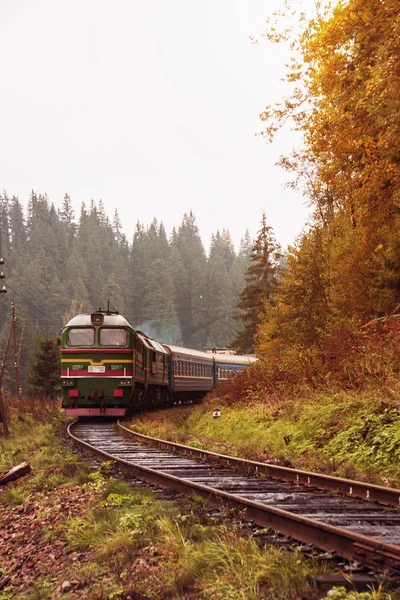 Demiryolu izlemek bir orman yoluyla erken sonbahar