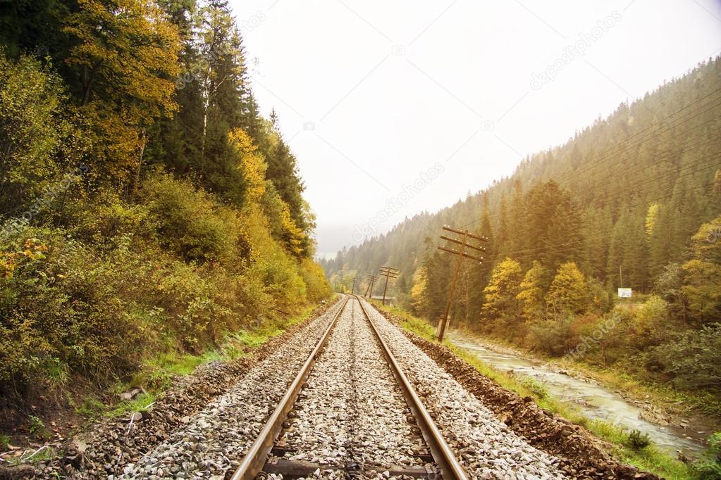 Railway Track through a Forest in Early Fall