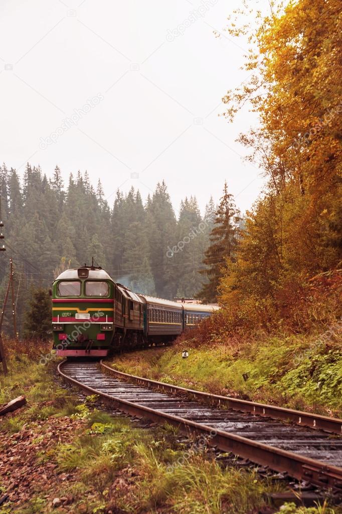 Railway Track through a Forest in Early Fall