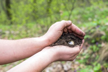 Bir insan eli paralar ile toprak