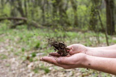 Bir insan eli paralar ile toprak