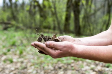 Bir insan eli paralar ile toprak