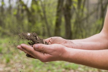 Bir insan eli paralar ile toprak
