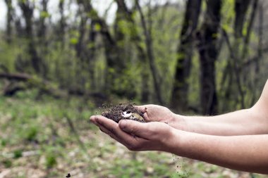Bir insan eli paralar ile toprak