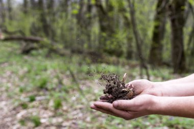 Bir insan eli paralar ile toprak