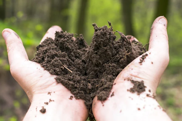 Soil in farmer arms. Macro image with selective focus. — Stock Photo, Image