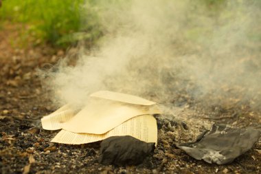 Yanan orman, eski bir kitabında yanma gelen yangın bırakır.