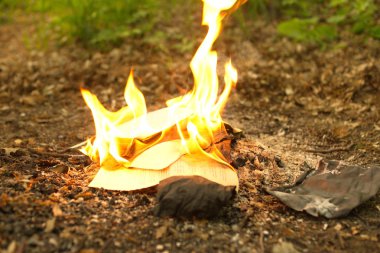 Yanan orman, eski bir kitabında yanma gelen yangın bırakır.