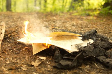 Yanan orman, eski bir kitabında yanma gelen yangın bırakır.