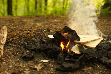 Yanan orman, eski bir kitabında yanma gelen yangın bırakır.